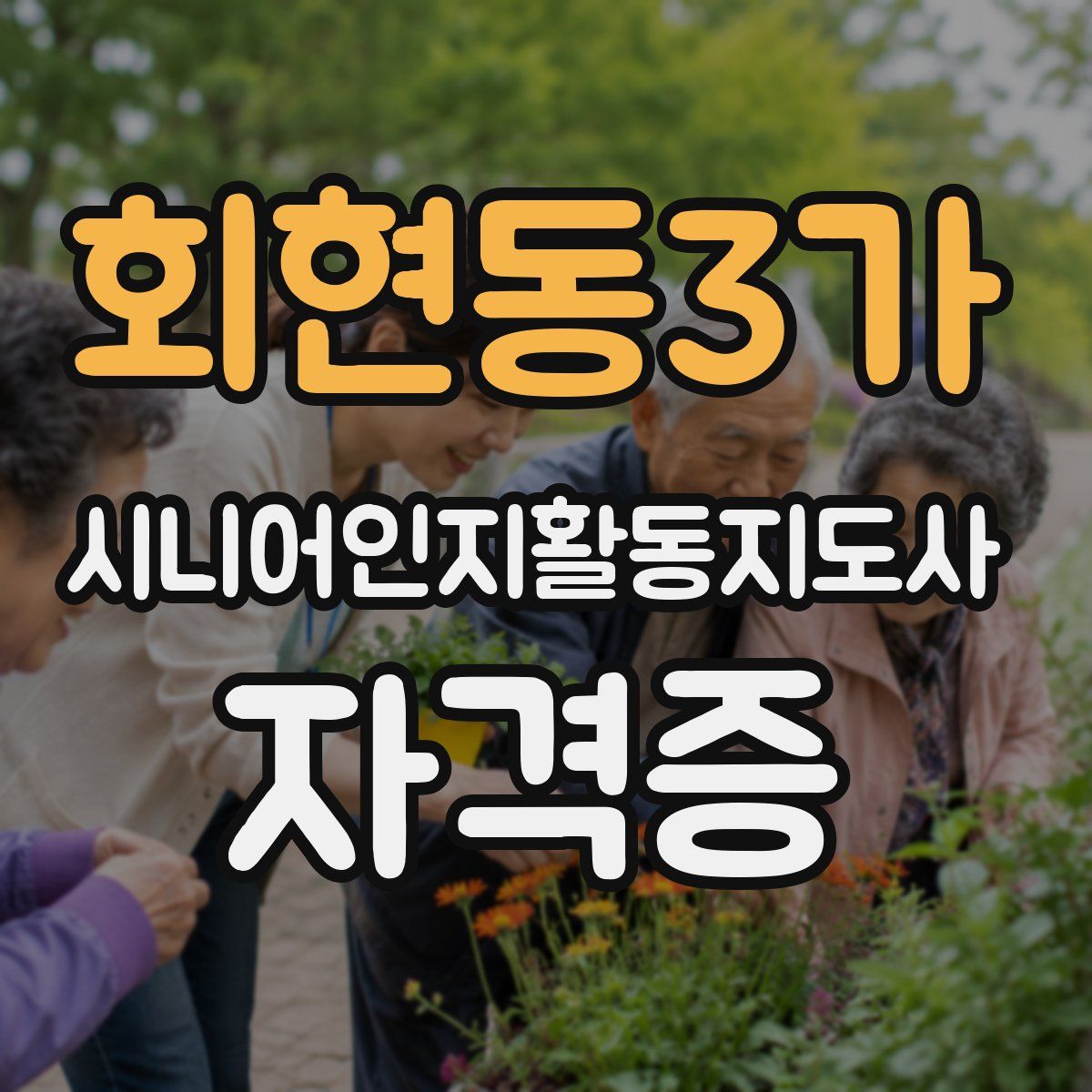 회현동3가 시니어인지활동지도사 자격증