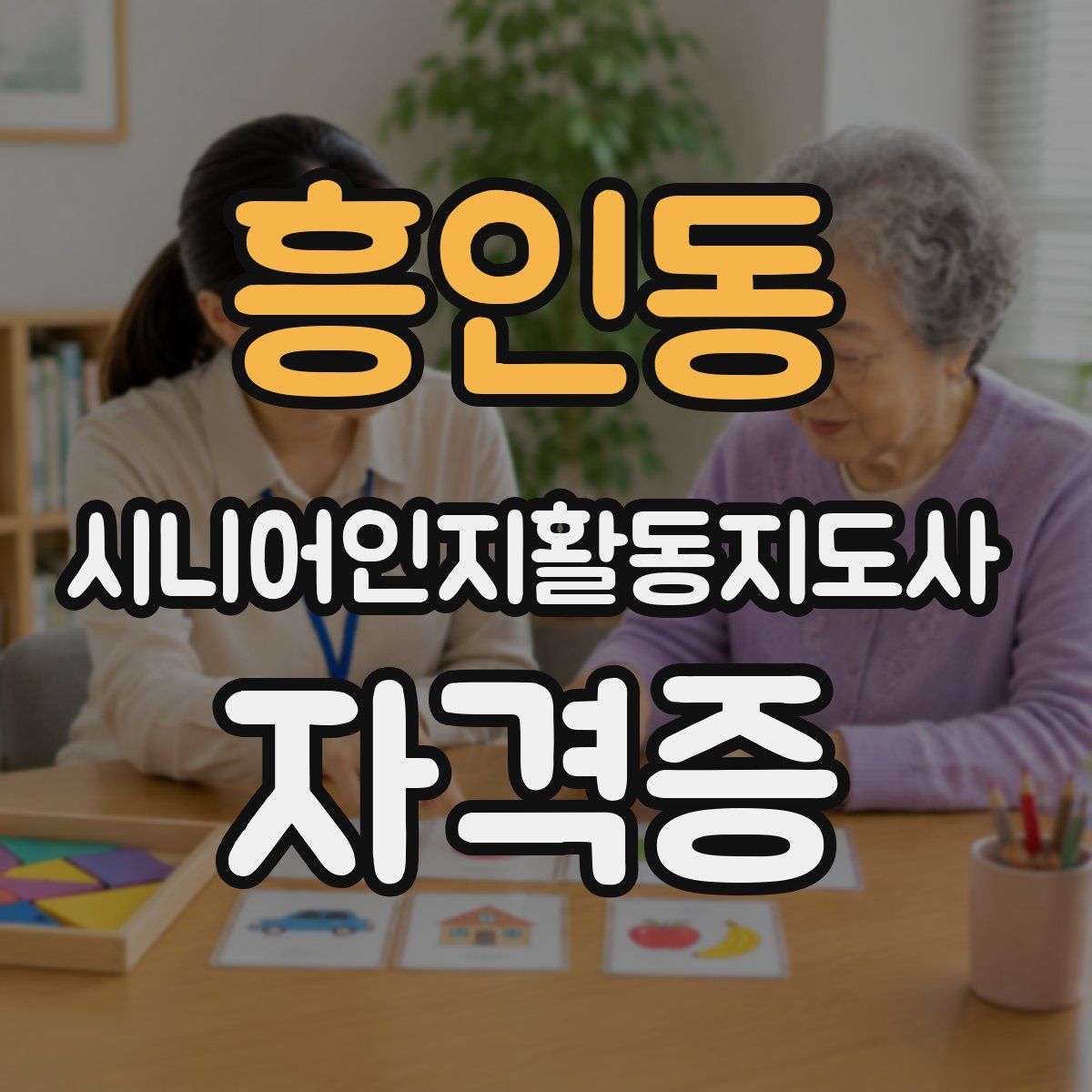 흥인동 시니어인지활동지도사 자격증