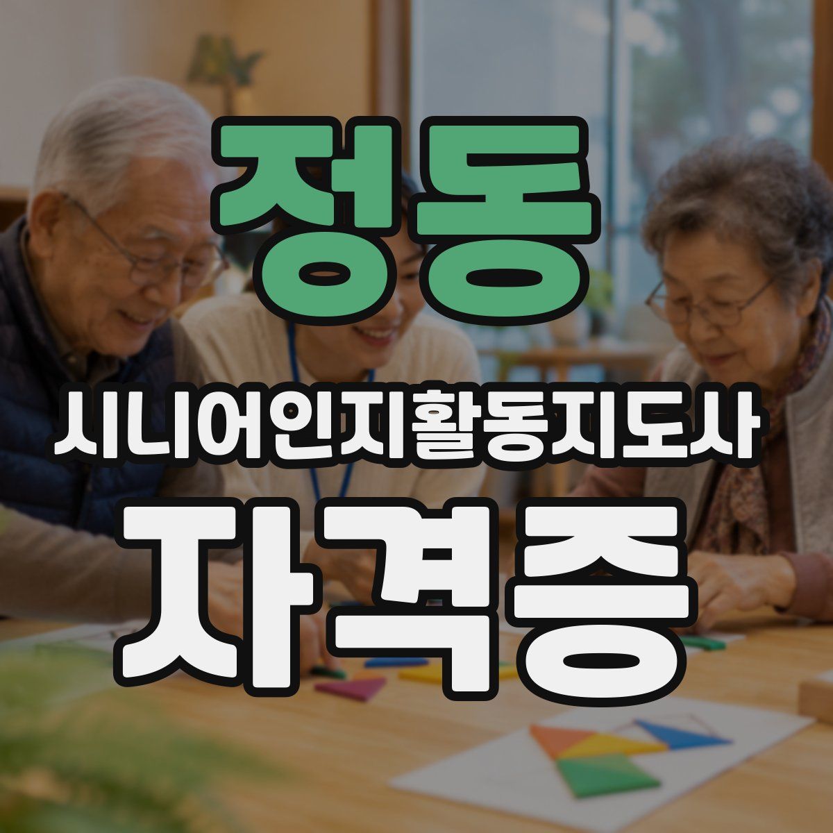 정동 시니어인지활동지도사 자격증
