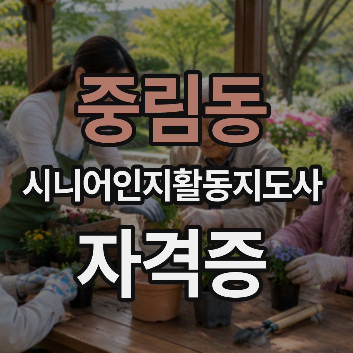 중림동 시니어인지활동지도사 자격증