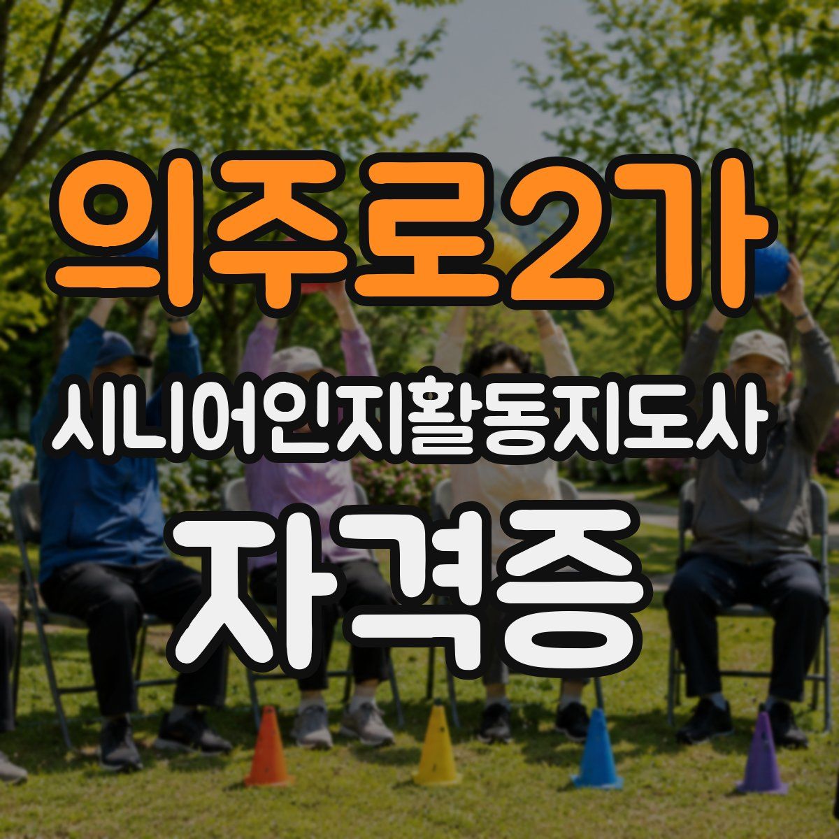 의주로2가 시니어인지활동지도사 자격증