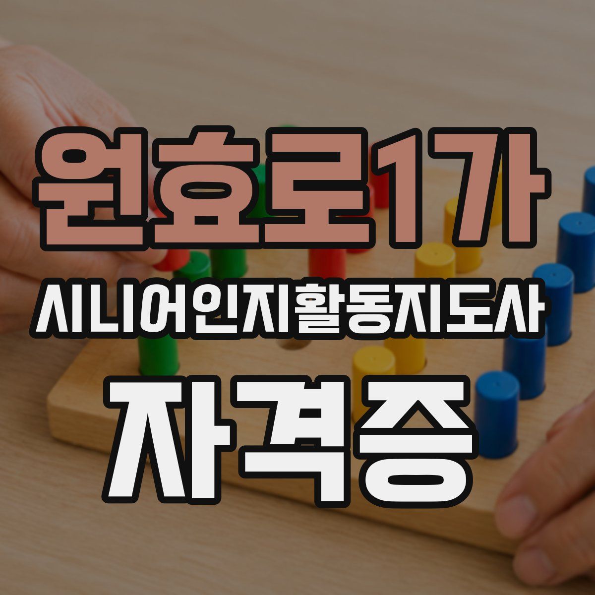 원효로1가 시니어인지활동지도사 자격증