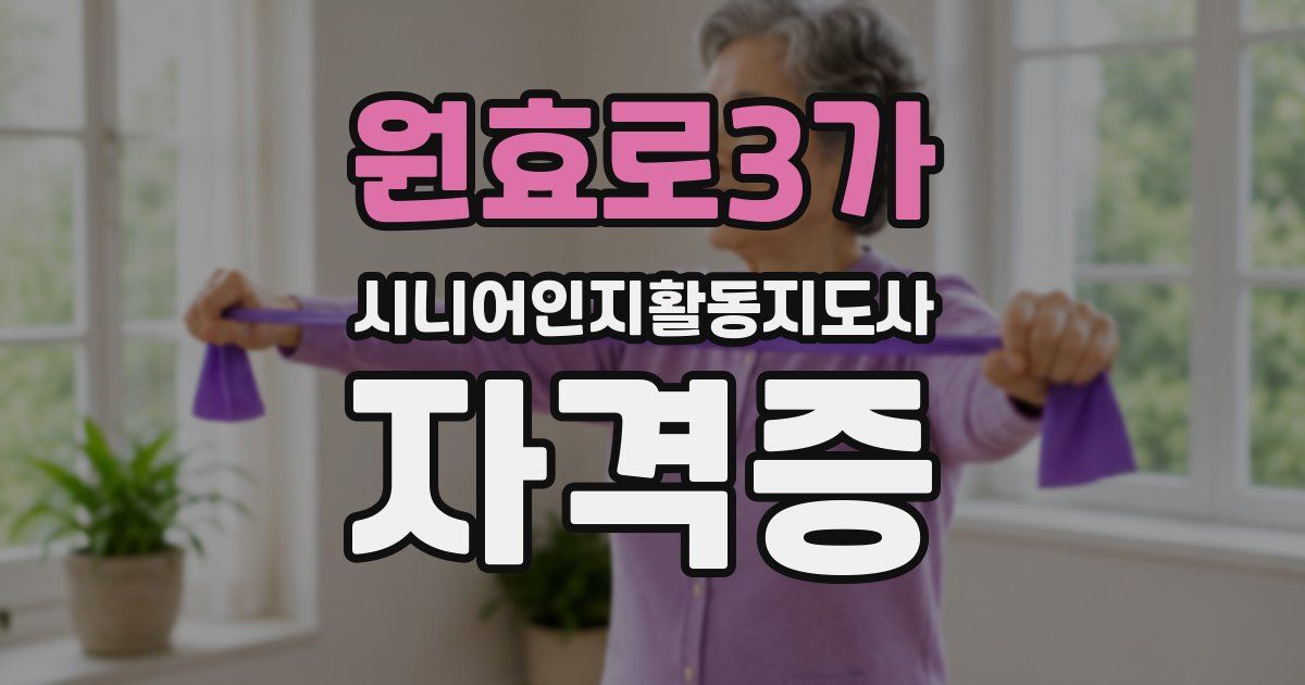 원효로3가 시니어인지활동지도사 자격증