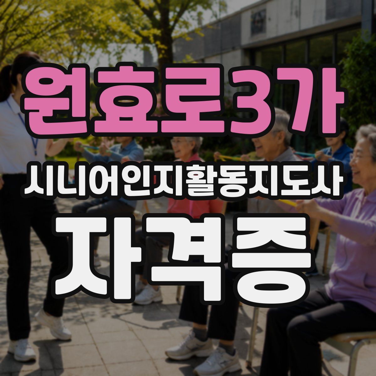 원효로3가 시니어인지활동지도사 자격증
