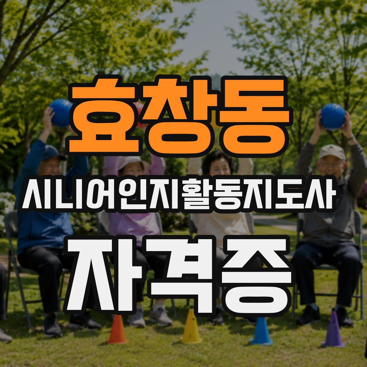 효창동 시니어인지활동지도사 자격증