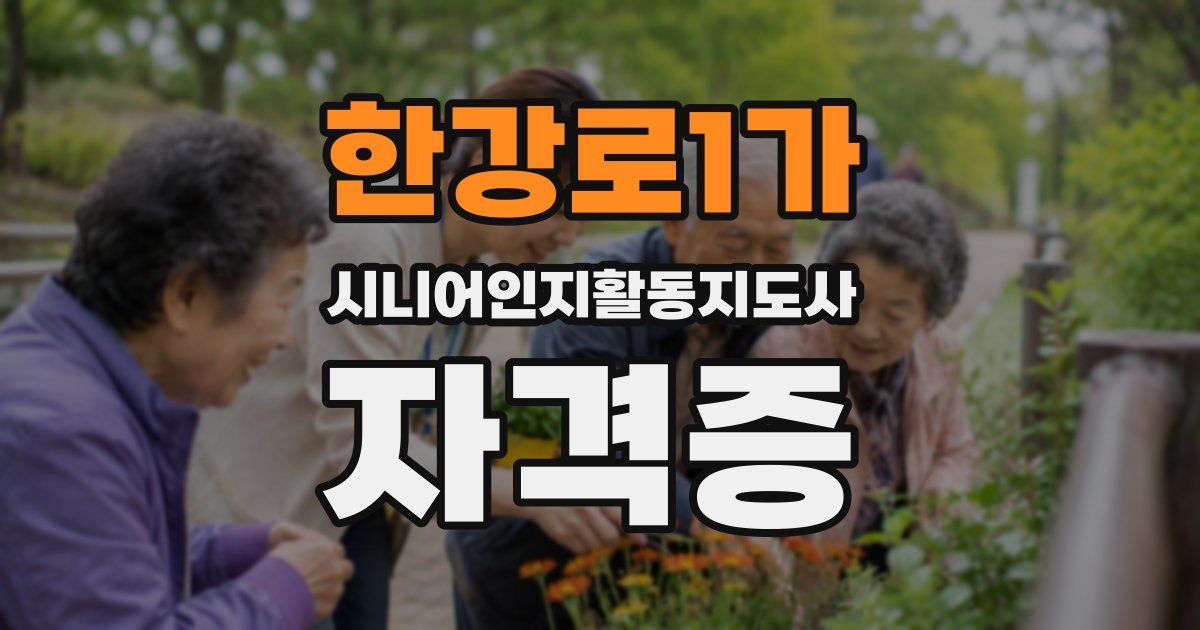 한강로1가 시니어인지활동지도사 자격증