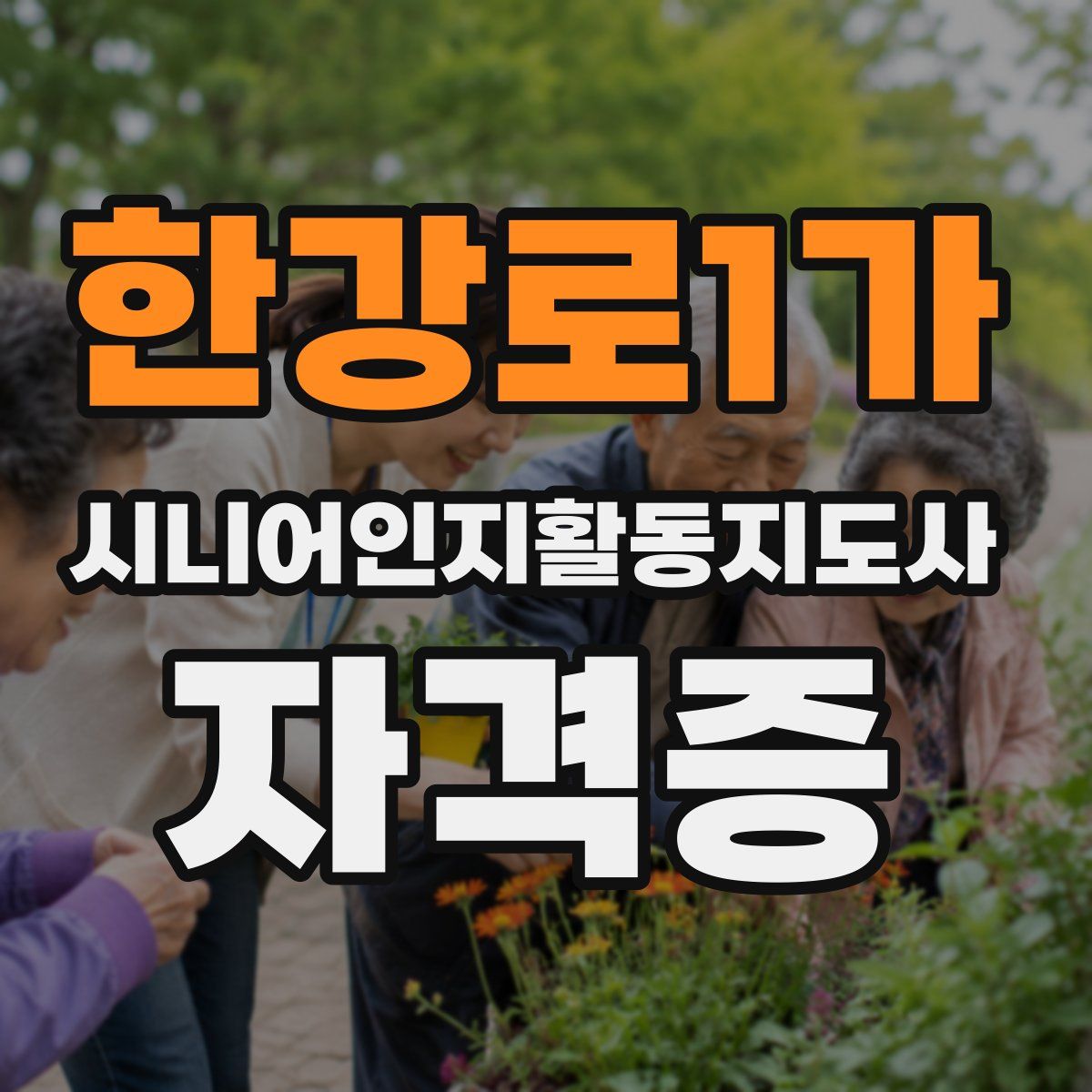 한강로1가 시니어인지활동지도사 자격증