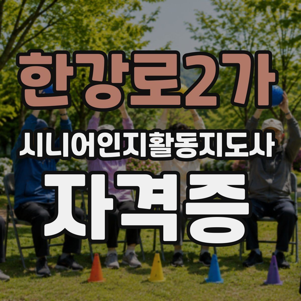 한강로2가 시니어인지활동지도사 자격증 과정의 수업 범위와 학습 목표