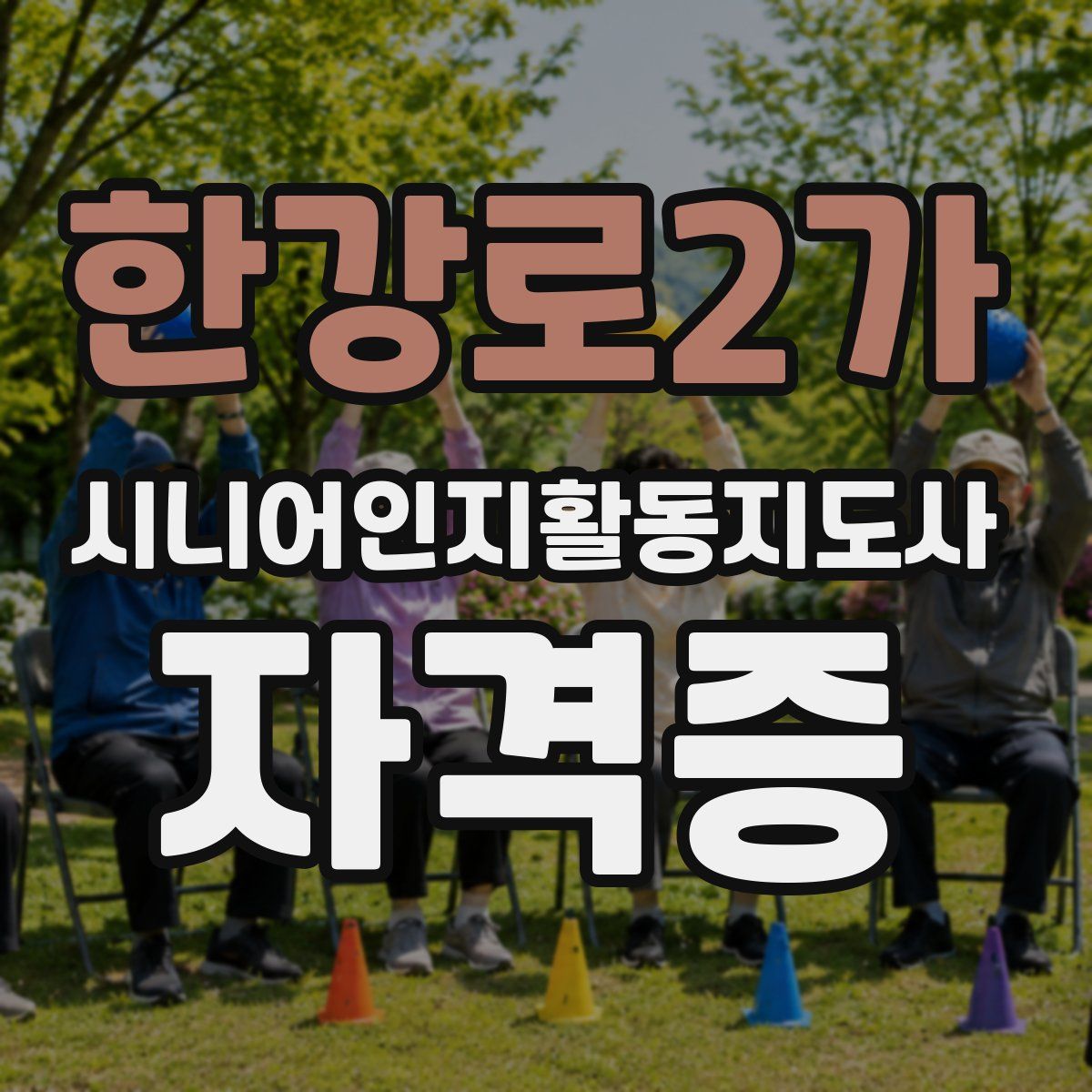 한강로2가 시니어인지활동지도사 자격증