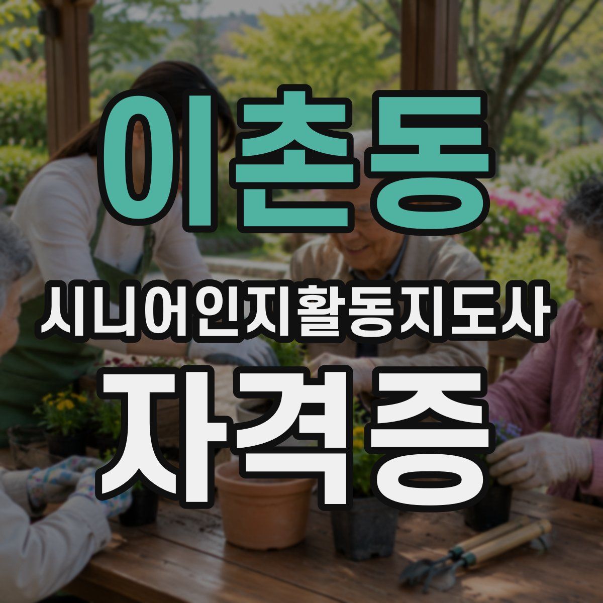이촌동 시니어인지활동지도사 자격증