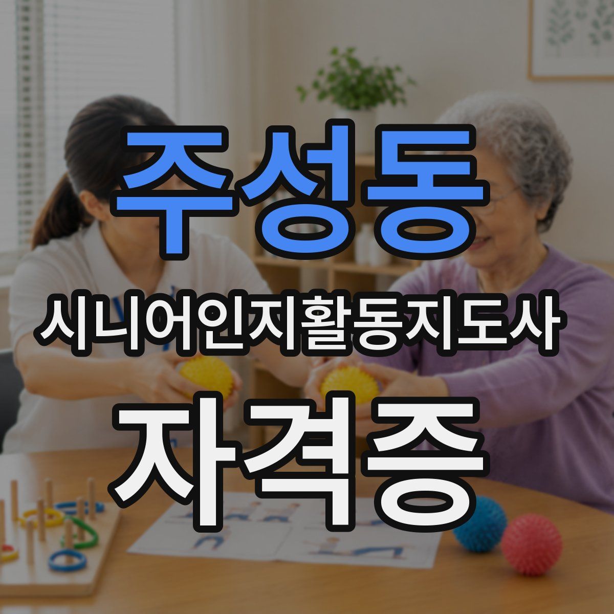주성동 시니어인지활동지도사 자격증