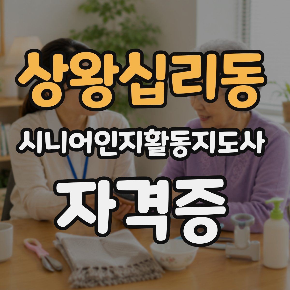 상왕십리동 시니어인지활동지도사 자격증 취득 준비 방법