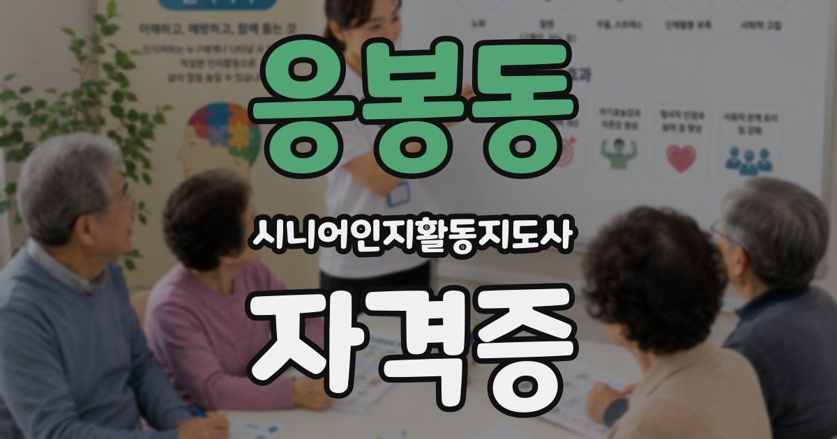 응봉동 시니어인지활동지도사 자격증