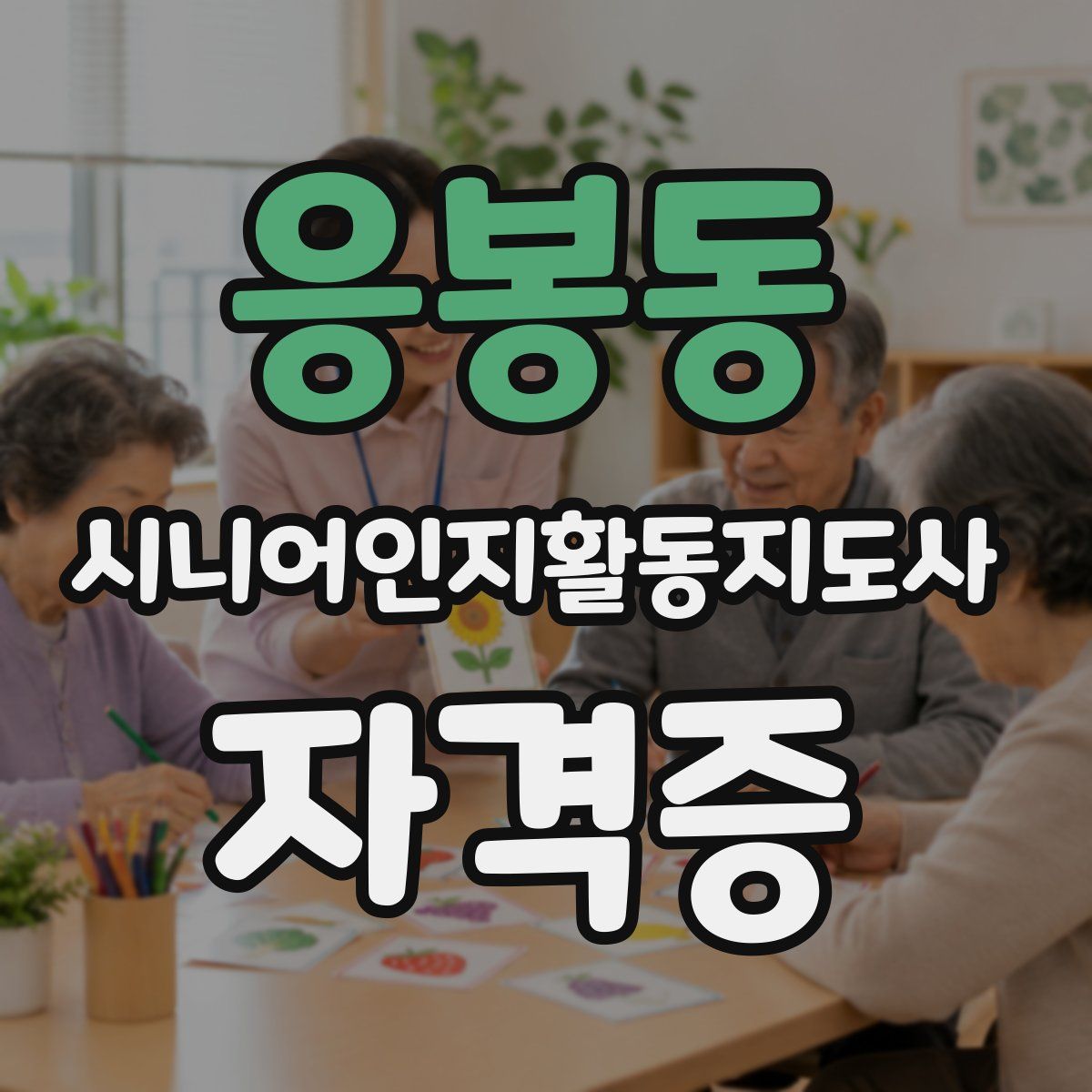 응봉동 시니어인지활동지도사 자격증