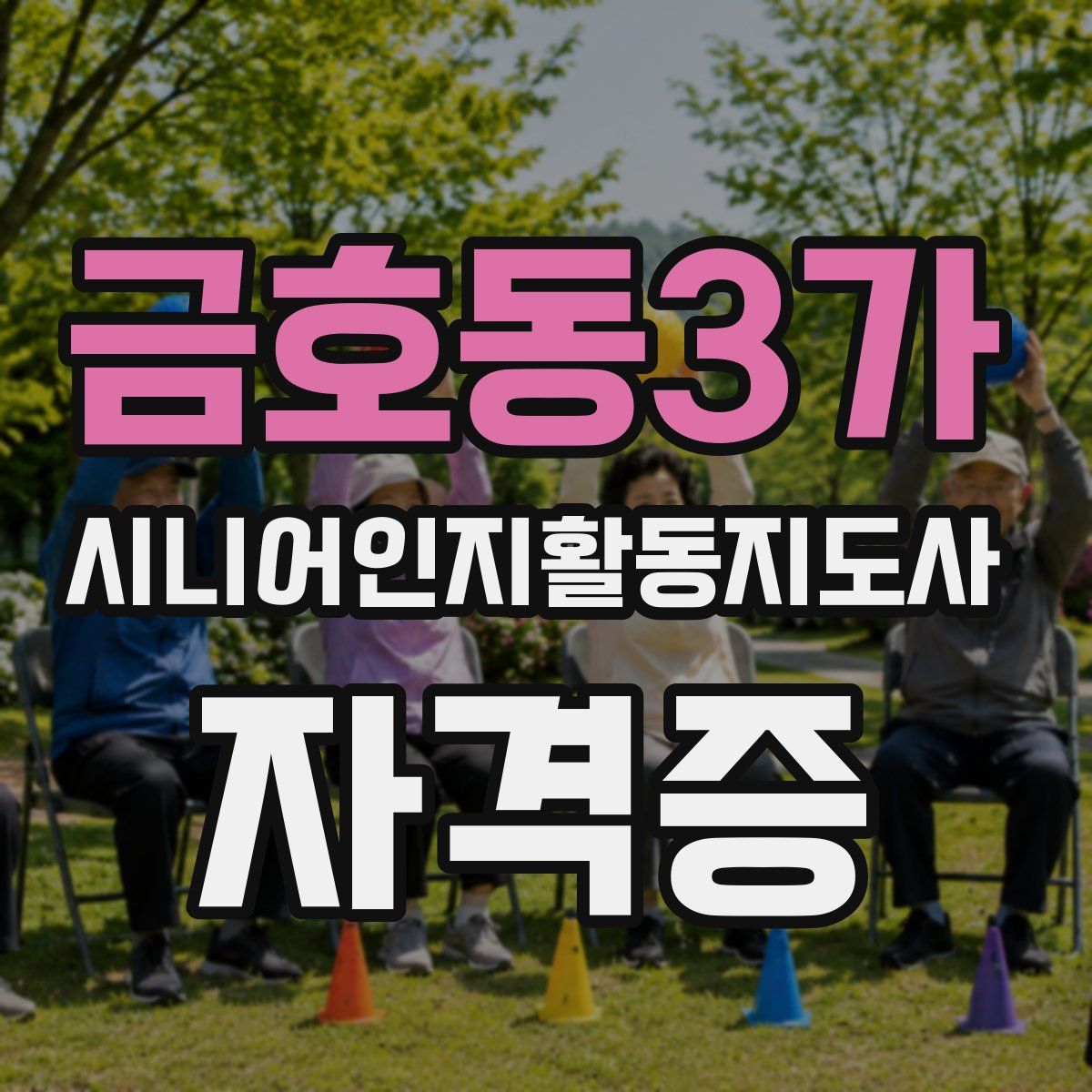 금호동3가 시니어인지활동지도사 자격증