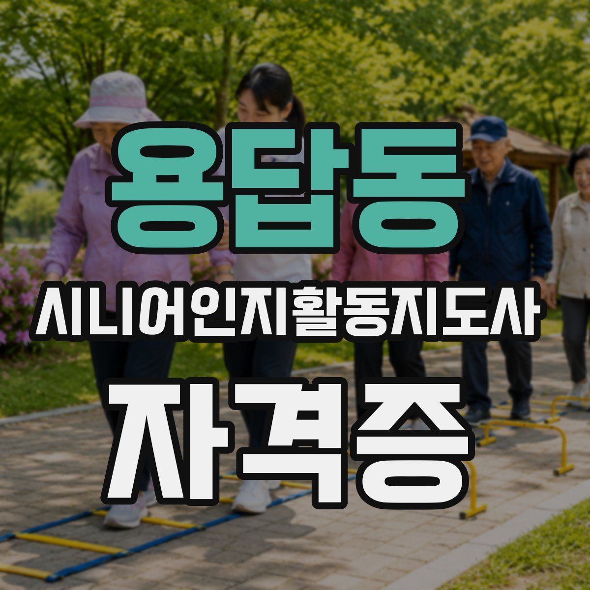 용답동 시니어인지활동지도사 자격증