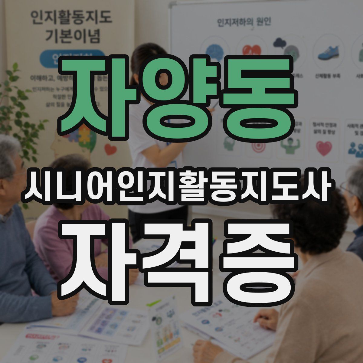 자양동 시니어인지활동지도사 자격증
