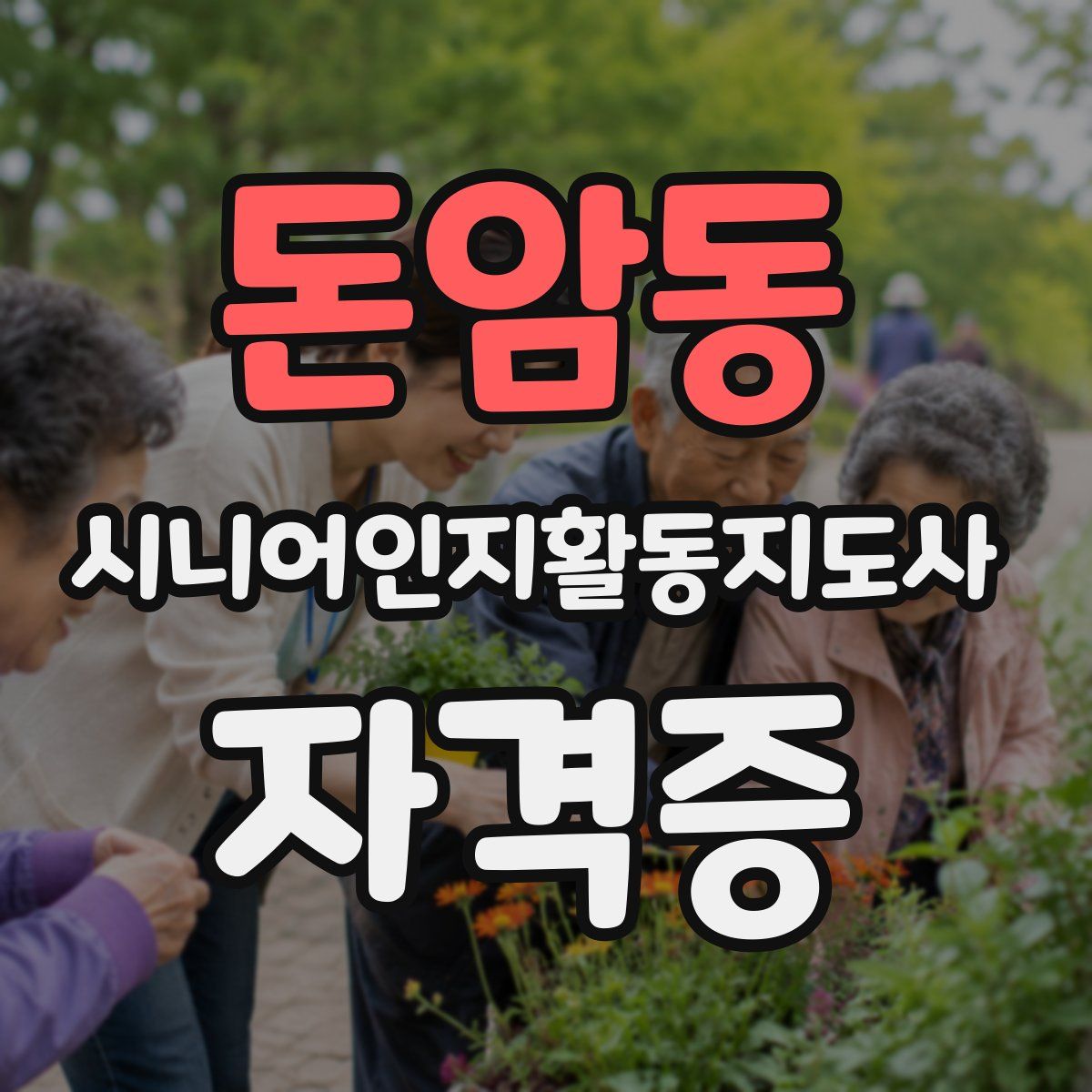 돈암동 시니어인지활동지도사 자격증