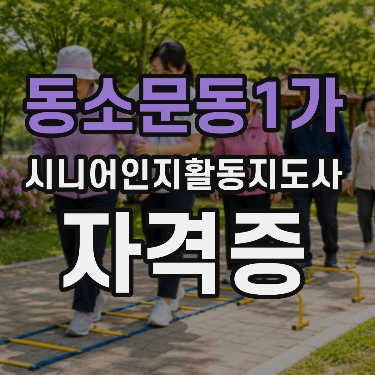동소문동1가 시니어인지활동지도사 자격증