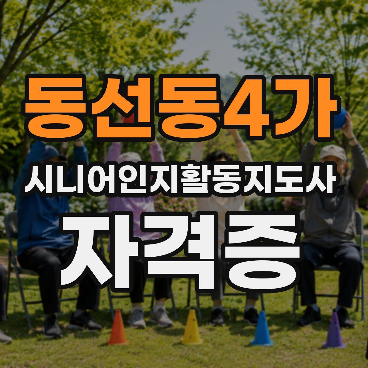 동선동4가 시니어인지활동지도사 자격증