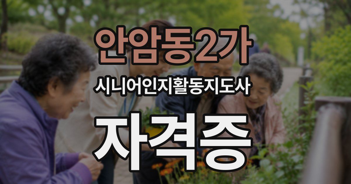 안암동2가 시니어인지활동지도사 자격증
