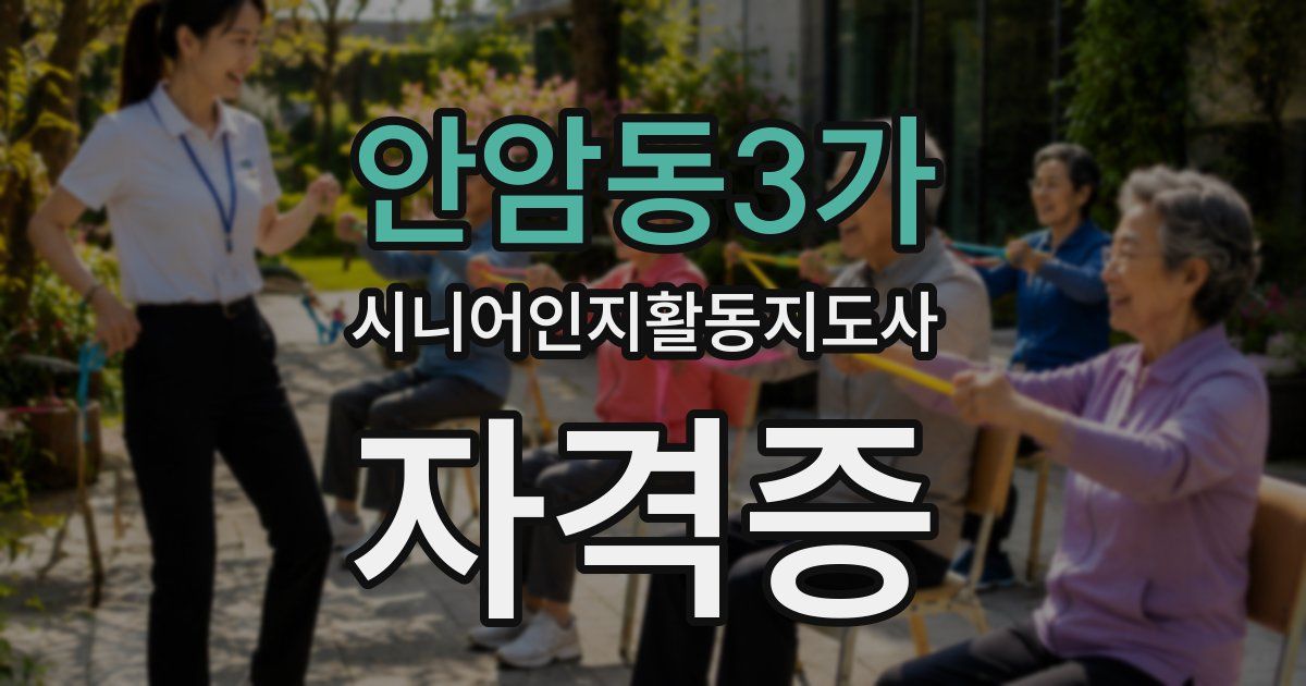 안암동3가 시니어인지활동지도사 자격증