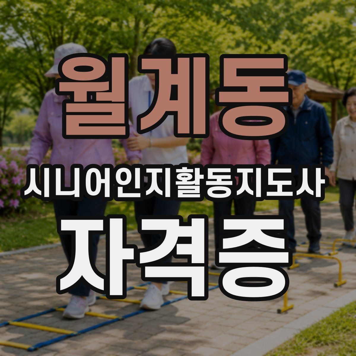 월계동 시니어인지활동지도사 자격증 선택 시 비교해야 할 요소