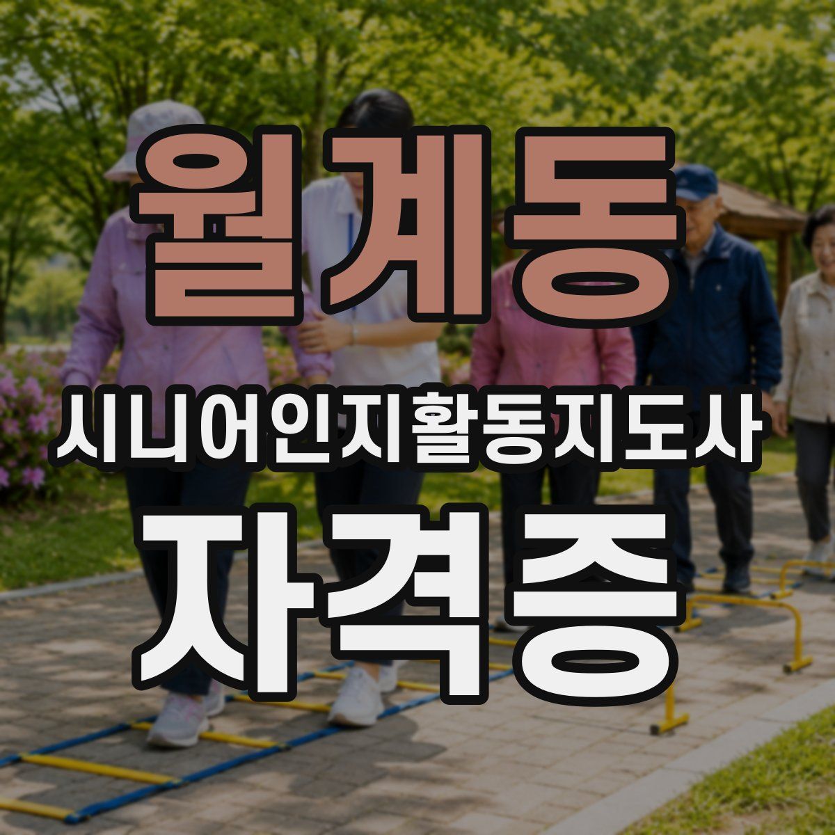 월계동 시니어인지활동지도사 자격증