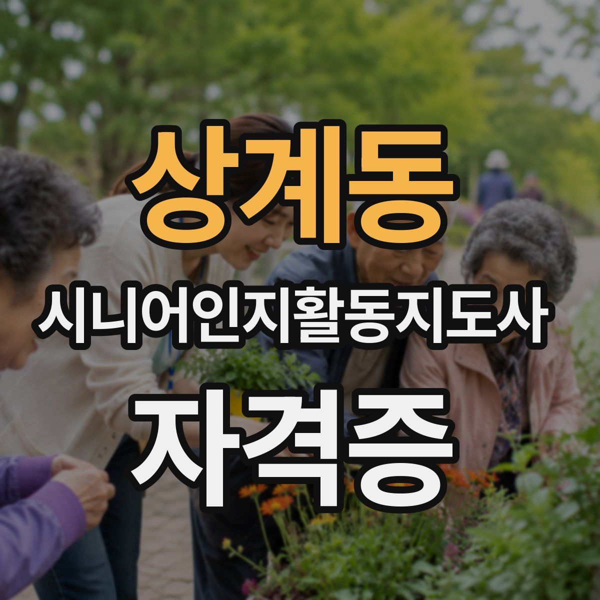 상계동 시니어인지활동지도사 자격증