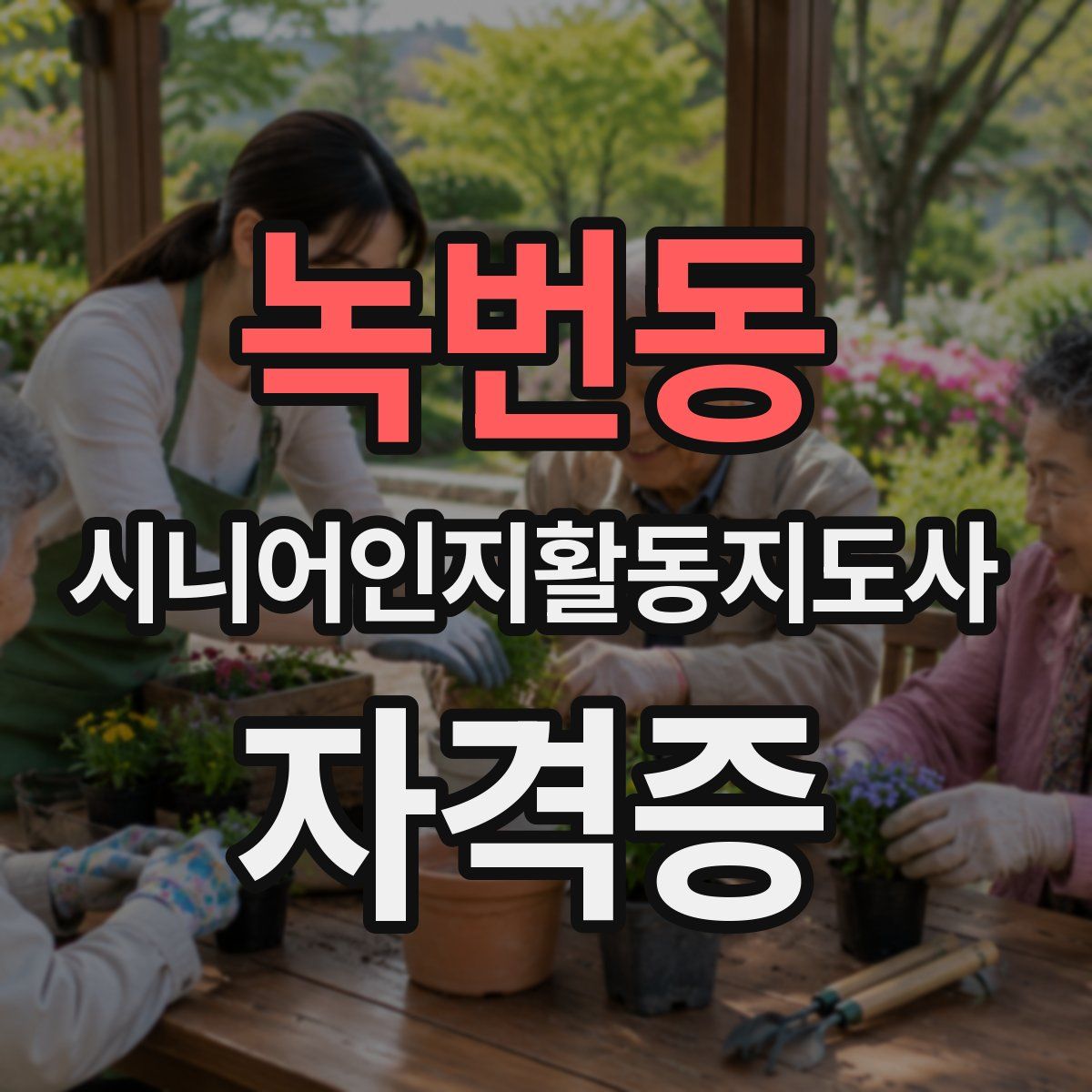 녹번동 시니어인지활동지도사 자격증