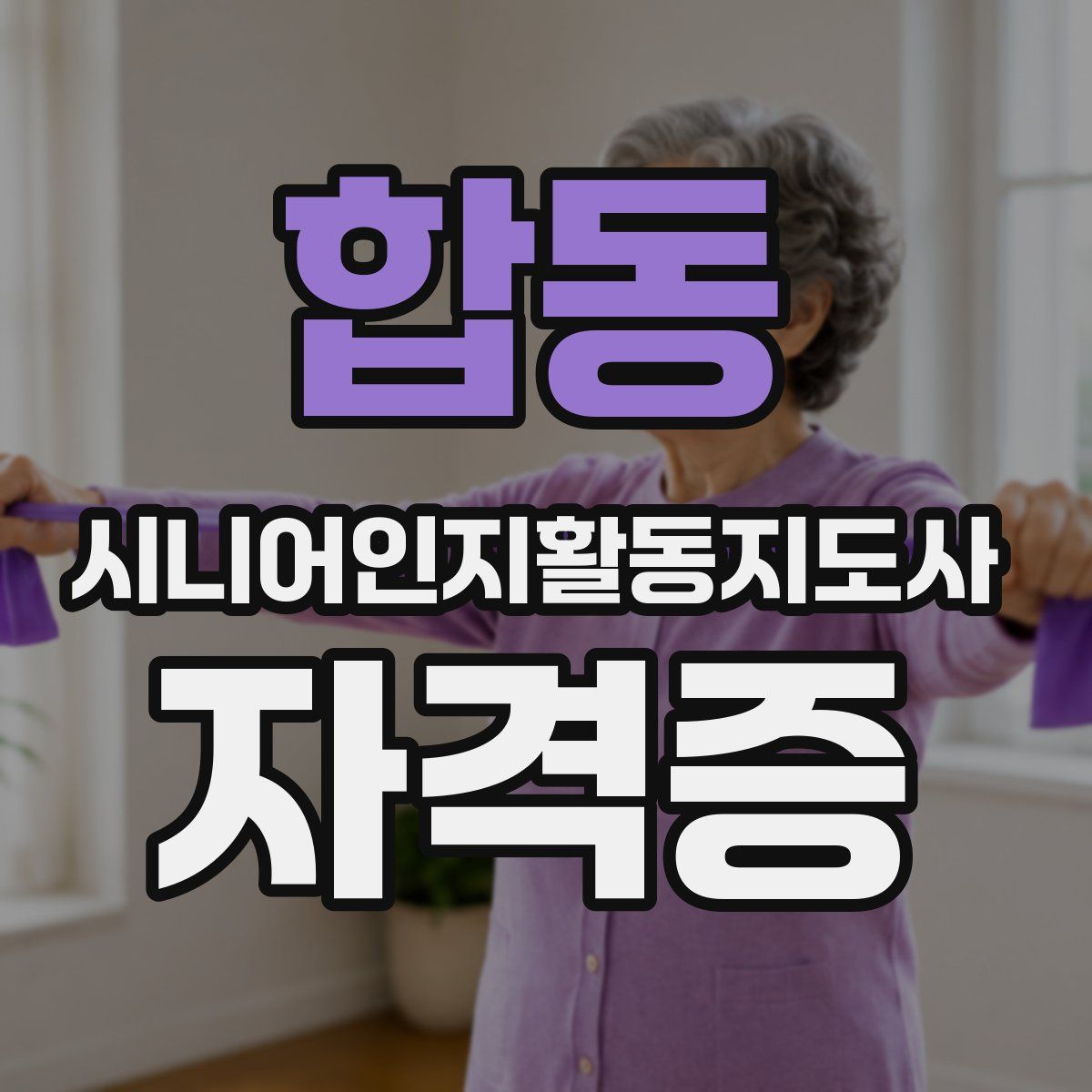 합동 시니어인지활동지도사 자격증