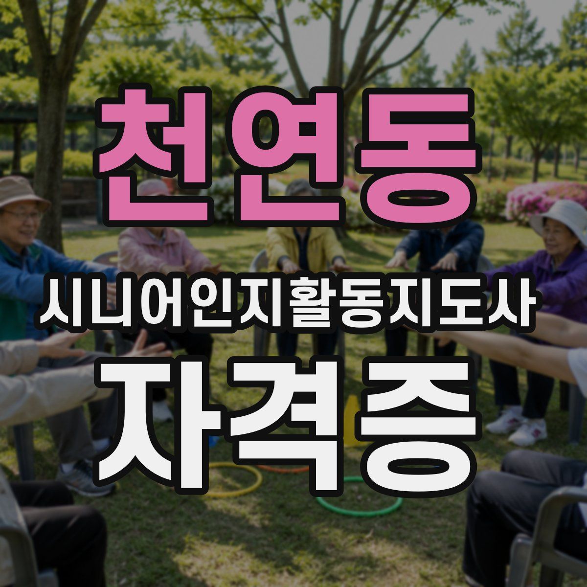 천연동 시니어인지활동지도사 자격증