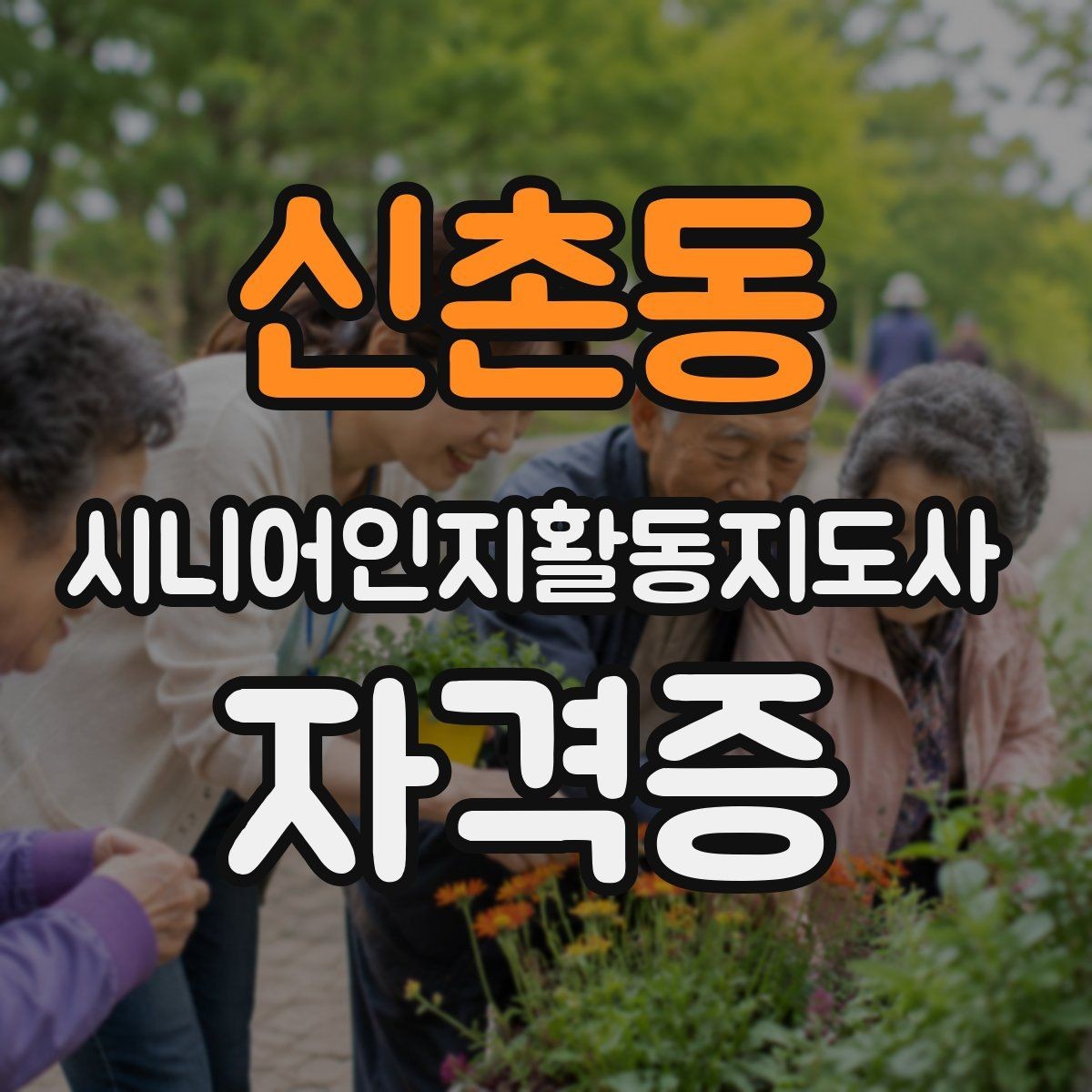 신촌동 시니어인지활동지도사 자격증 정보 찾을 때 확인할 출처