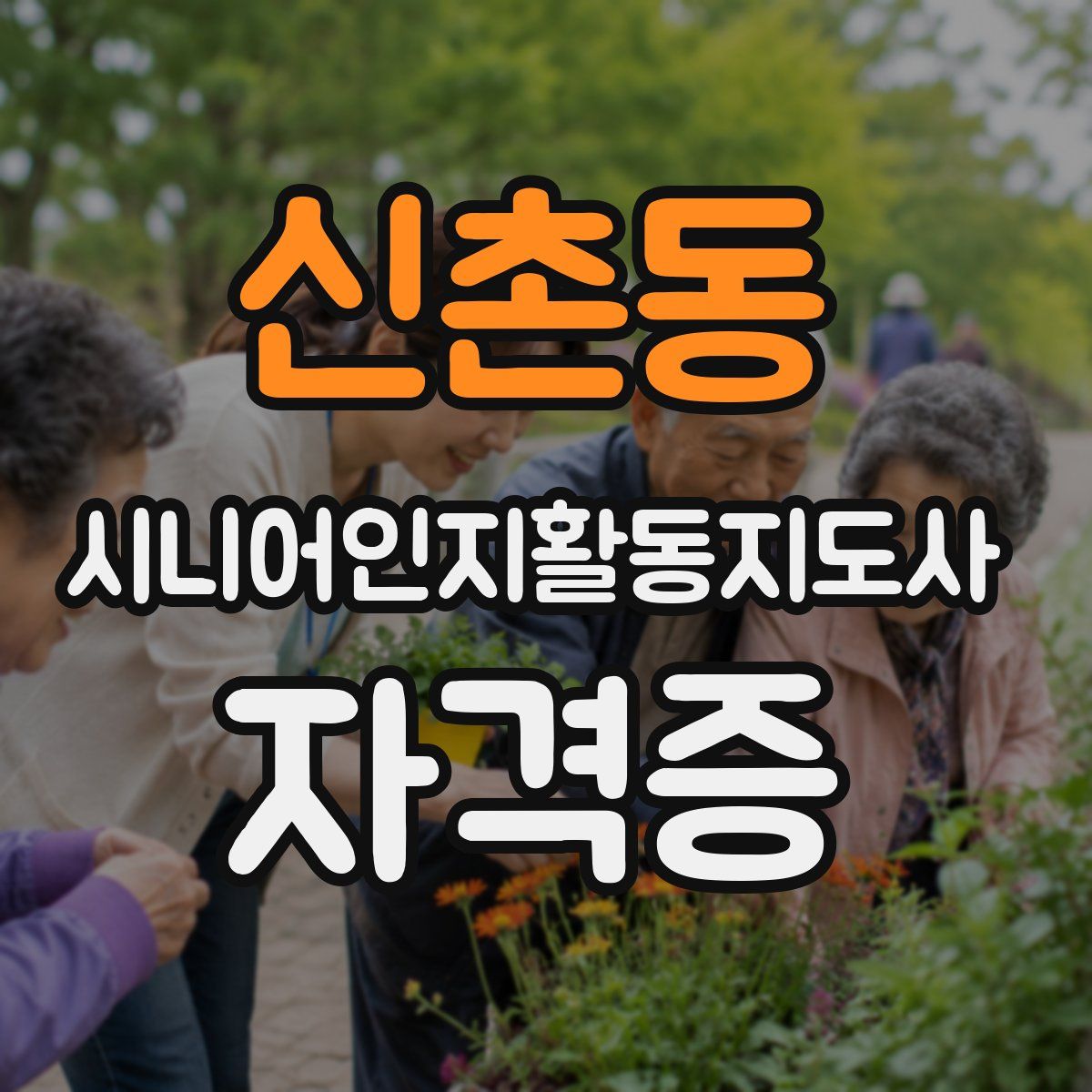 신촌동 시니어인지활동지도사 자격증