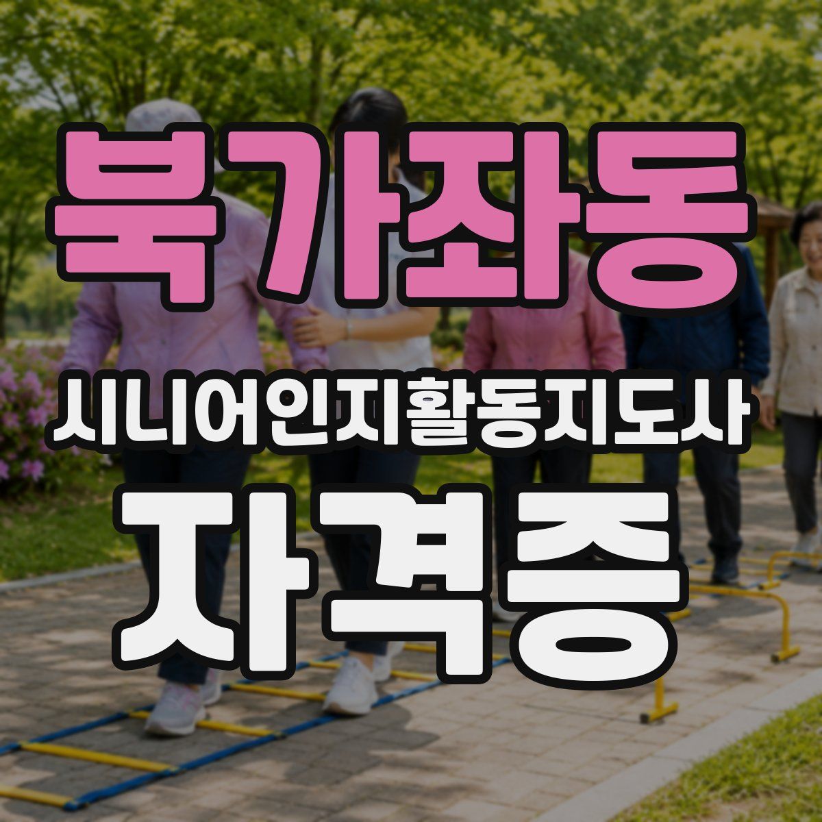 북가좌동 시니어인지활동지도사 자격증