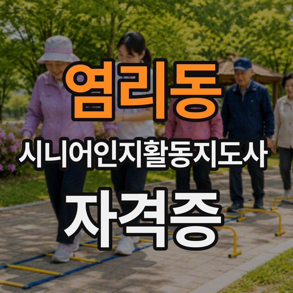 염리동 시니어인지활동지도사 자격증