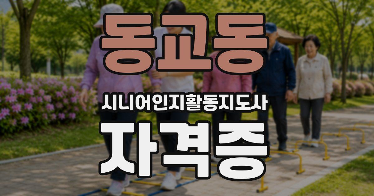 동교동 시니어인지활동지도사 자격증