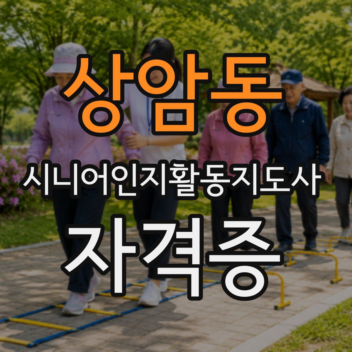 상암동 시니어인지활동지도사 자격증