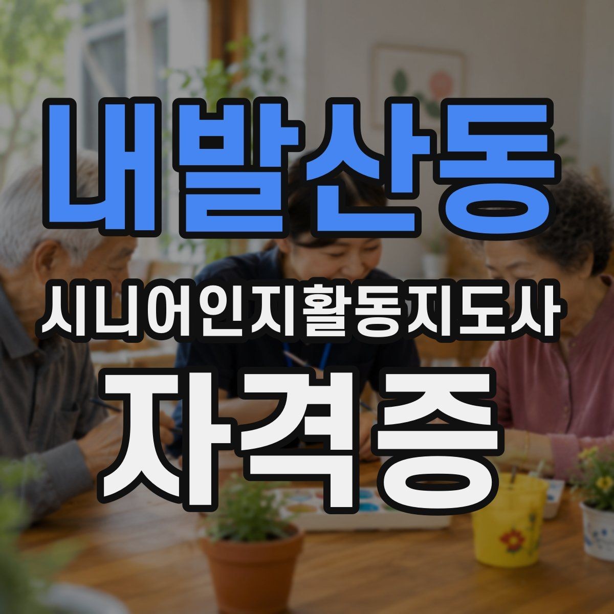 내발산동 시니어인지활동지도사 자격증 취득 뒤 이어지는 학습 방향