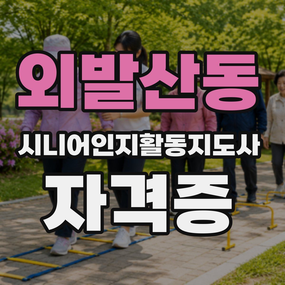 외발산동 시니어인지활동지도사 자격증