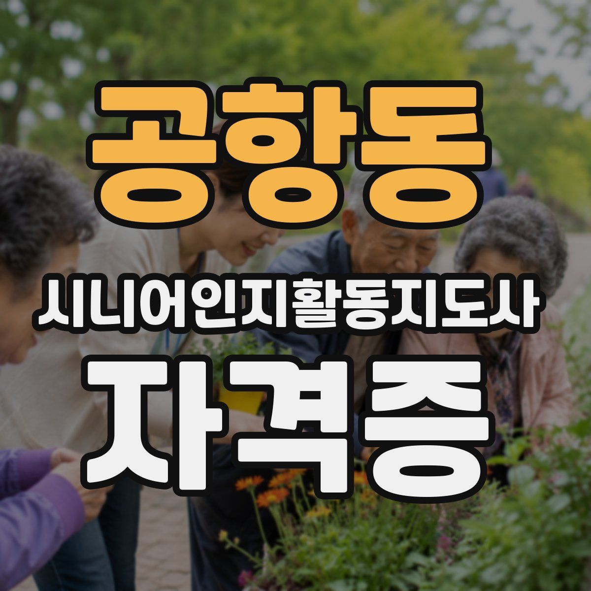 공항동 시니어인지활동지도사 자격증
