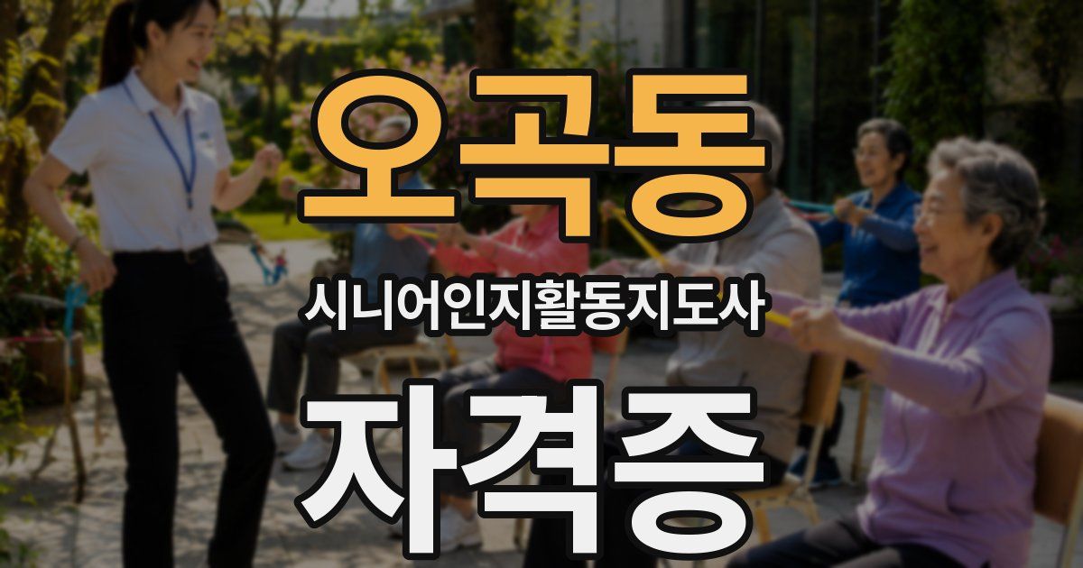 오곡동 시니어인지활동지도사 자격증