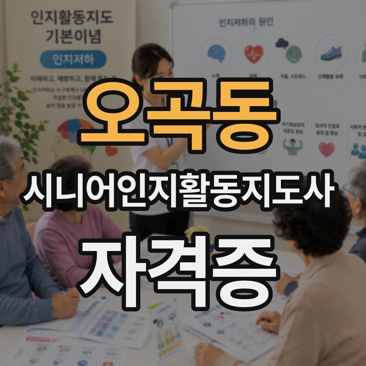 오곡동 시니어인지활동지도사 자격증