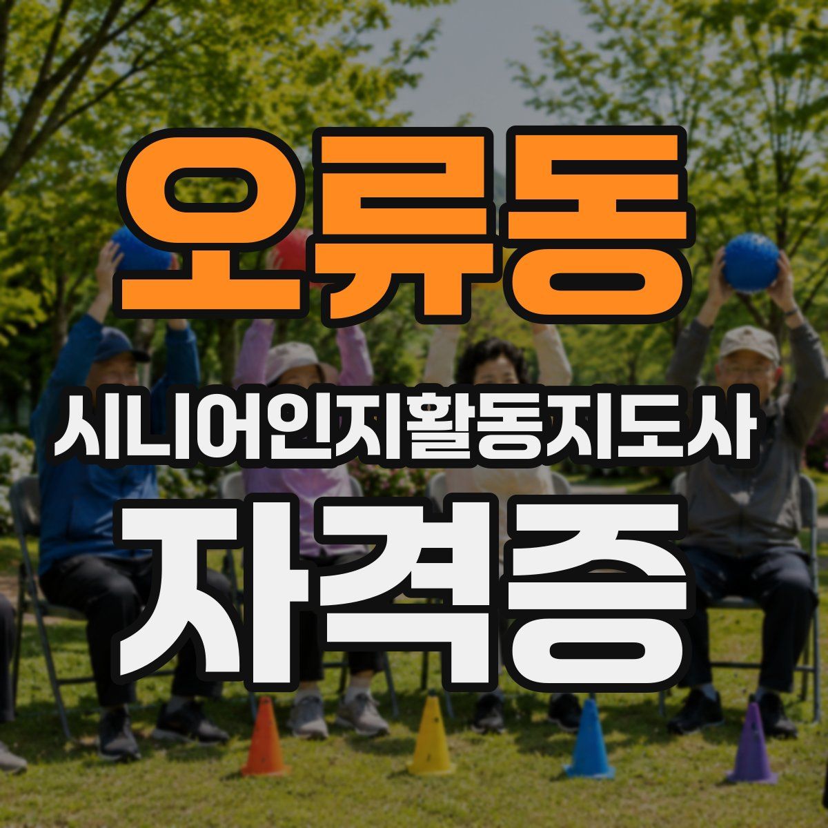 오류동 시니어인지활동지도사 자격증