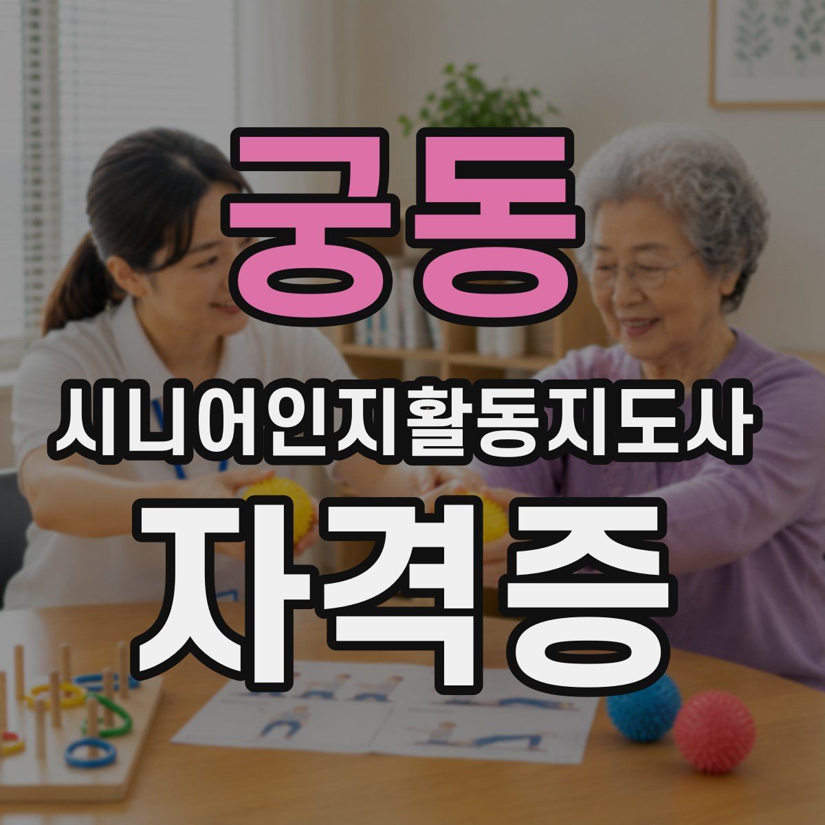 궁동 시니어인지활동지도사 자격증