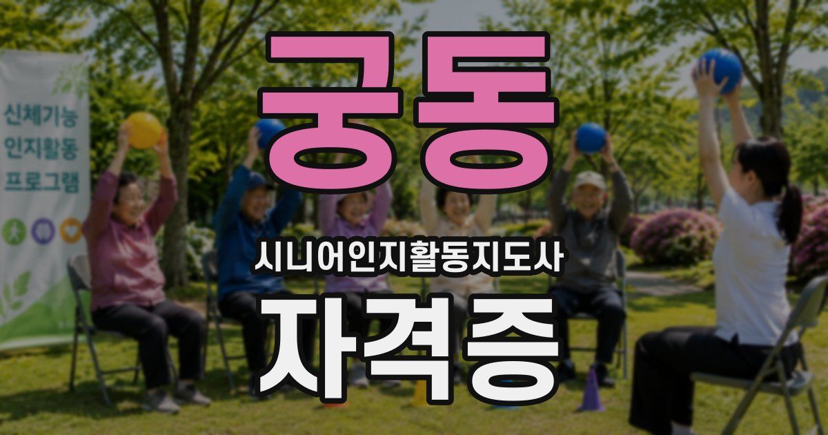 궁동 시니어인지활동지도사 자격증