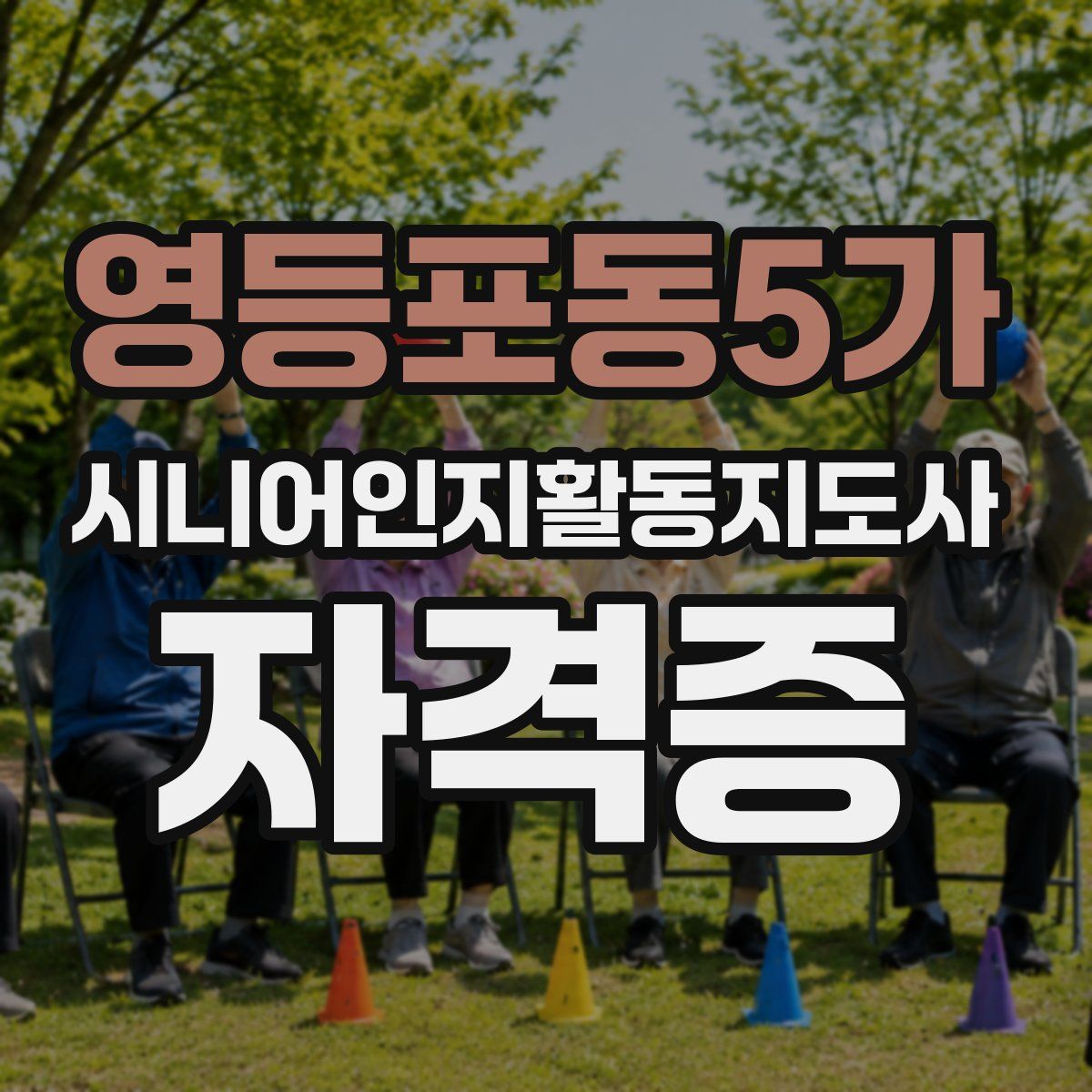 영등포동5가 시니어인지활동지도사 자격증