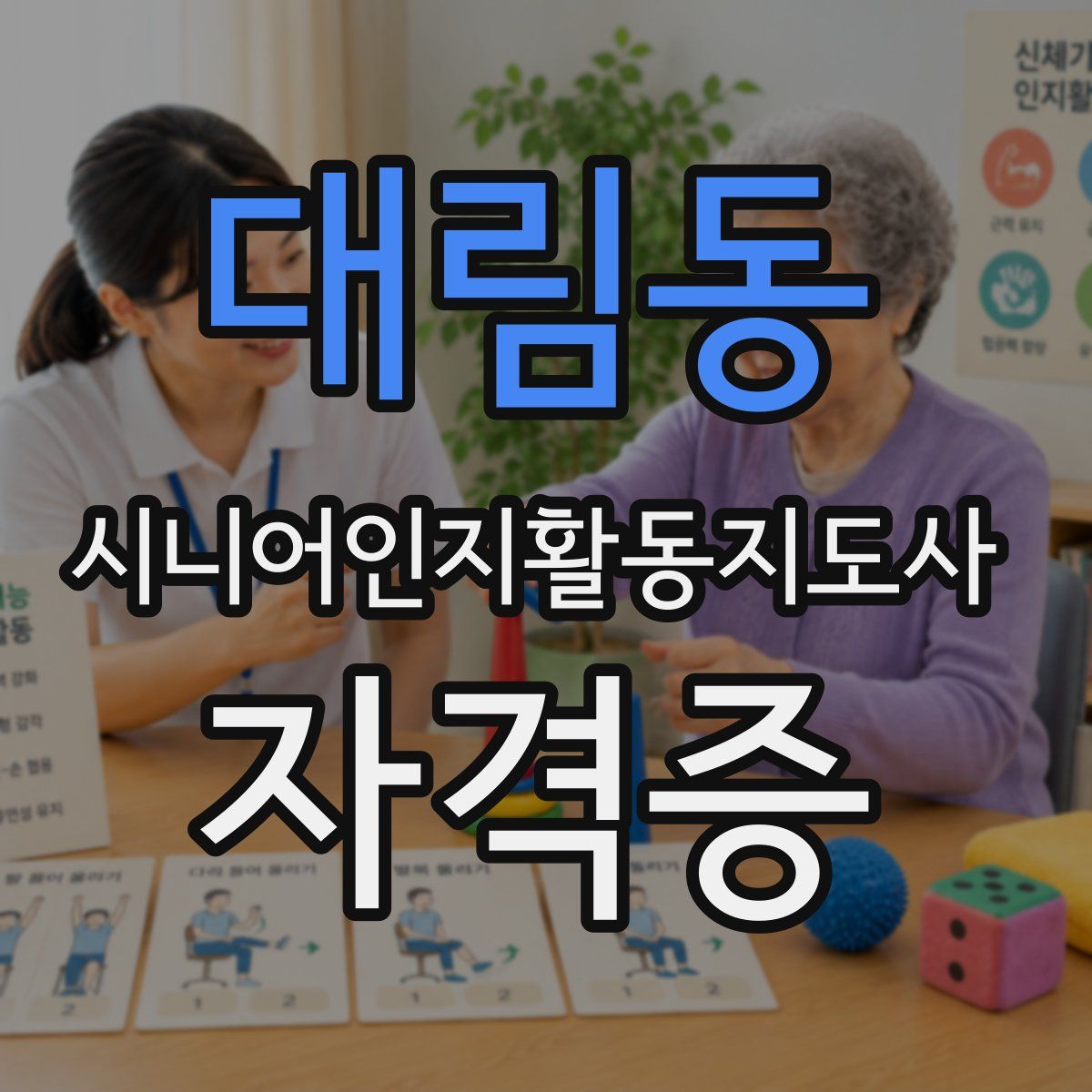 대림동 시니어인지활동지도사 자격증