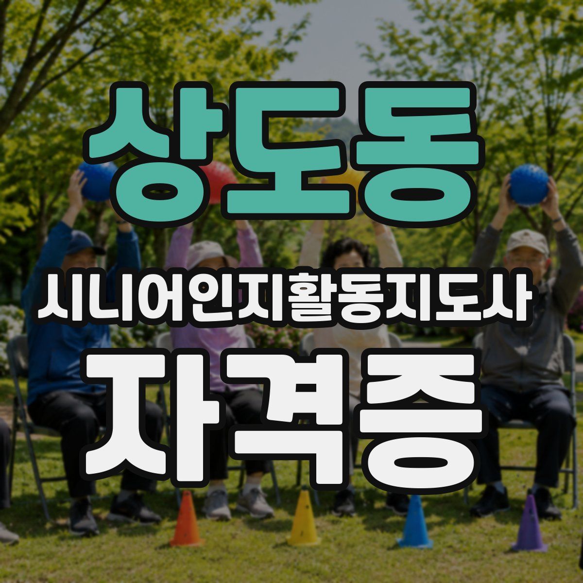 상도동 시니어인지활동지도사 자격증