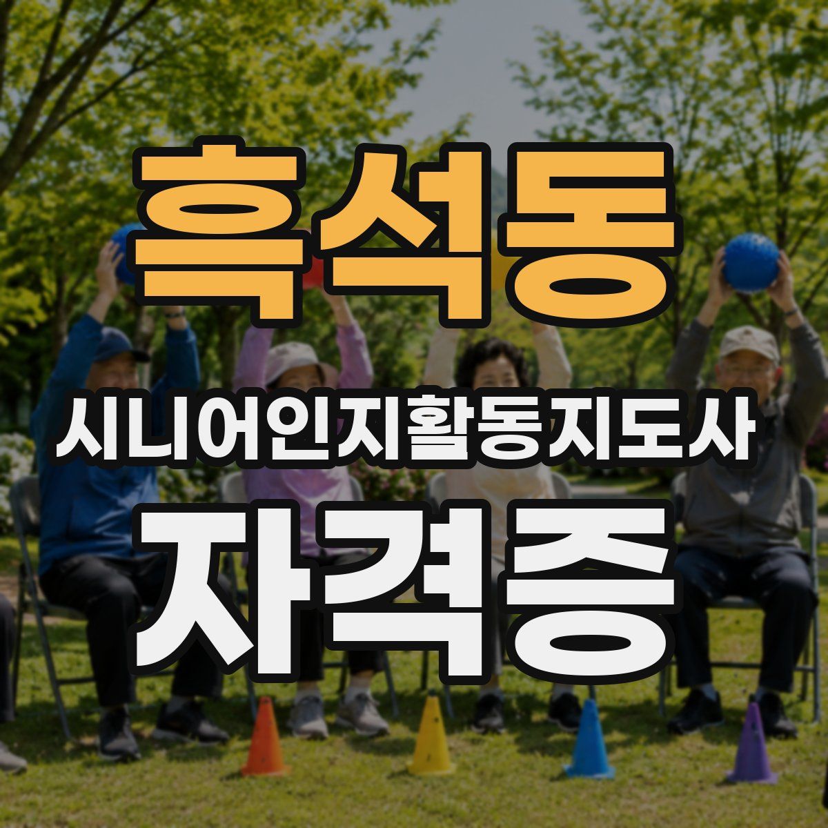 흑석동 시니어인지활동지도사 자격증
